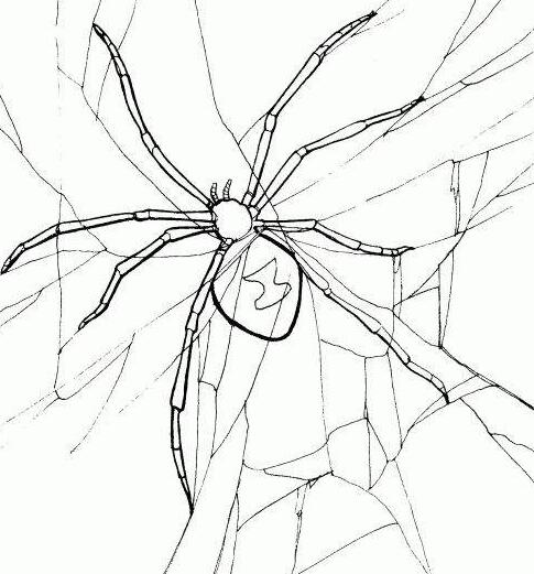 手把手教你分析搜索引擎蜘蛛爬行日志插图