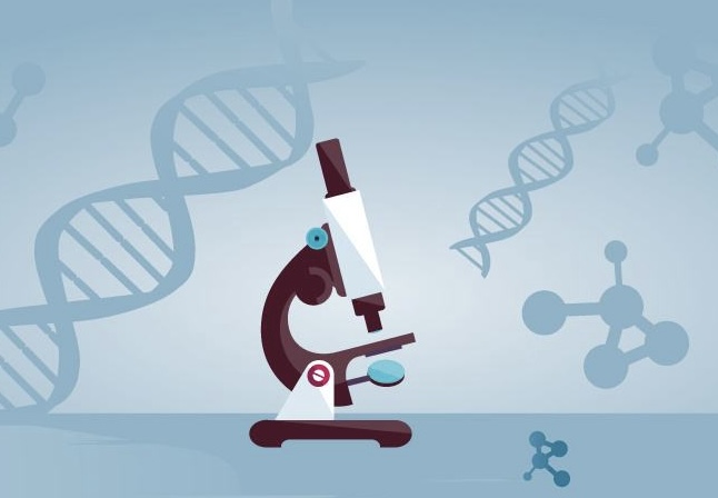 老板基因是什么?