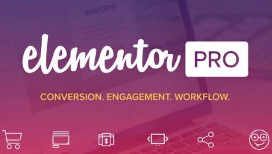 Elementor Pro v3.0.8简体中文破解版