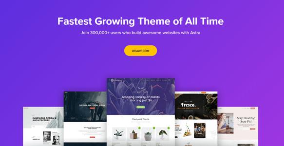 Astra Theme v3.0.0 + Astra Pro v3.0.0 （Beta）–使用Pro插件扩展Astra主题插图