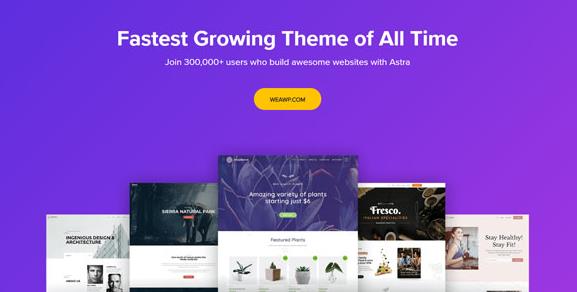 Astra Theme 2.6.2 –可自定义的WordPress主题插图