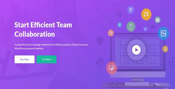 WP Project Manager Pro v2.5.6 正版激活插图