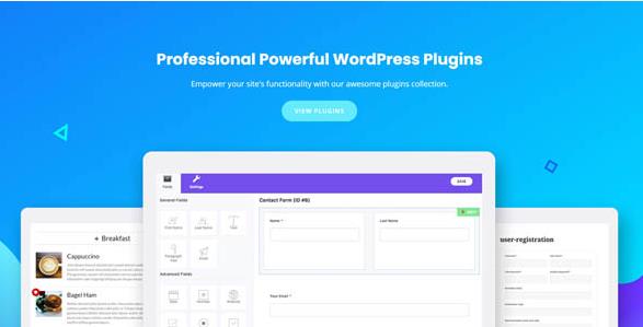 User Registration Pro v5.1.3（主插件已汉化） + Addons – WordPress用户注册插件插图