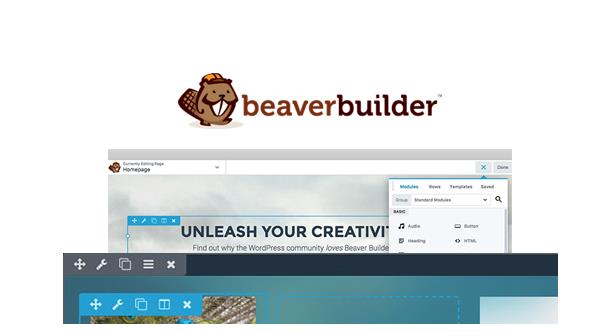 Beaver Builder Pro 2.9（已汉化） – WordPress页面构建器插件插图