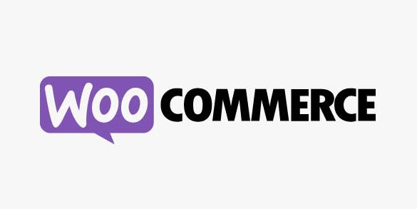 WooCommerce Product Search v3.4.0 产品搜索插件插图