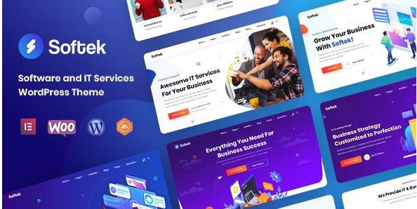 Softek v3.0.4（已汉化） – WordPress软件IT行业主题插图