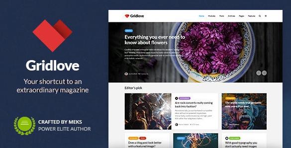 Gridlove v2.1.1 – 新闻门户和杂志WordPress主题插图