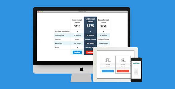 Easy Pricing Tables Premium v2.4.5 WordPress定价表插件插图