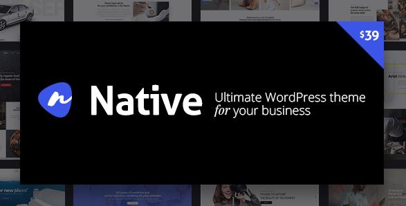 Native v1.6.9.8 – 时尚的多功能创意WordPress主题插图