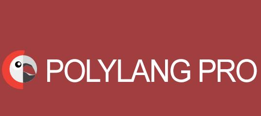 Polylang Pro v2.9.1 - 多国语言插件