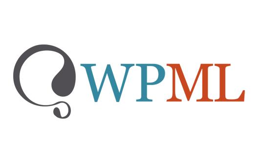 WPML Translation Management Addon v2.10.3汉化破解版