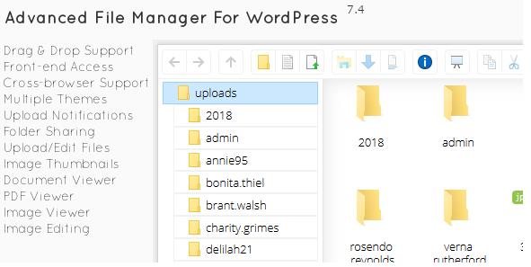 File Manager Plugin For Wordpress v7.5.6 Wordpress文件管理器插件插图