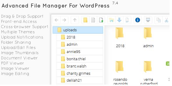 File Manager Plugin For WordPress v7.5.6 WordPress文件管理器插件插图