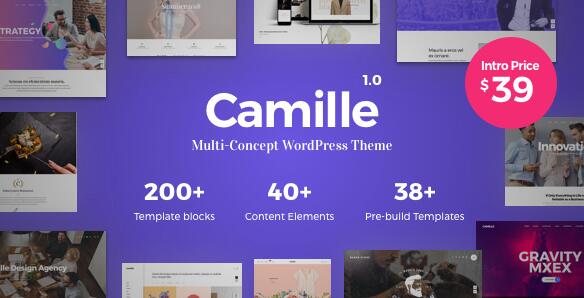 Camille v1.2.0 – 多概念WordPress主题插图