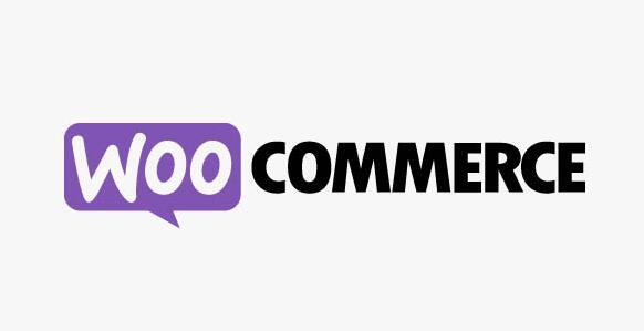 WooCommerce Group Coupons v2.11.0（已汉化）插图