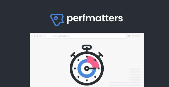 Perfmatters v2.4.2免激活版（已汉化） – WordPress性能优化插件插图