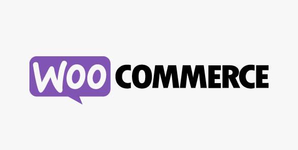 WooCommerce Google Product Feed v9.4.1汉化破解版插图