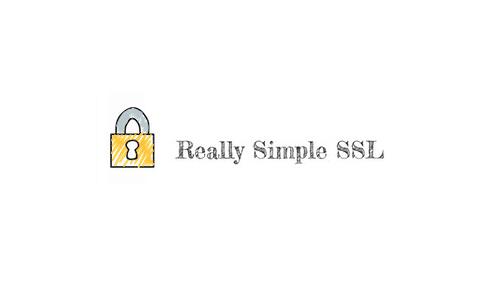 Really Simple SSL Pro v4.1.2汉化破解版插图