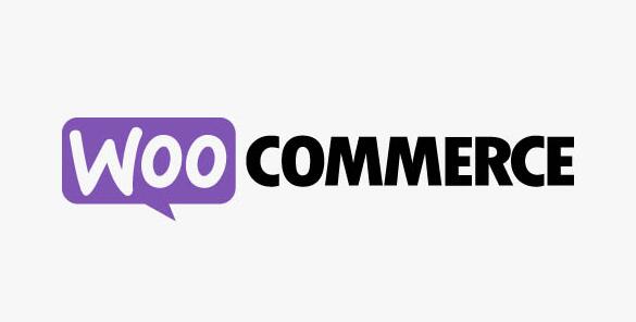 Bulk Table Editor for WooCommerce v2.4.24破解版（已汉化） – WooCommerce表批量编辑器插图