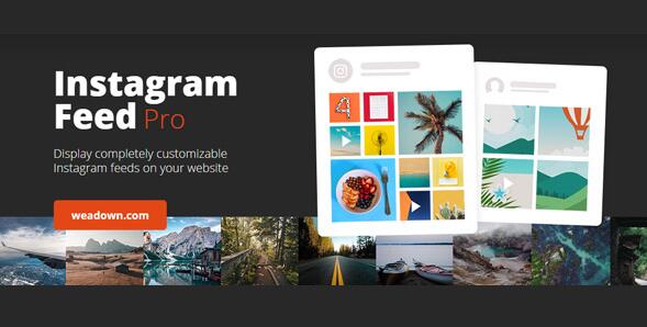 Custom Instagram Feed Pro v6.5.1（已汉化） – WordPress Instagram 订阅源插件插图