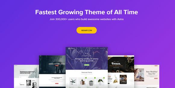 Astra Theme v3.0.1破解版 –可自定义的WordPress主题插图