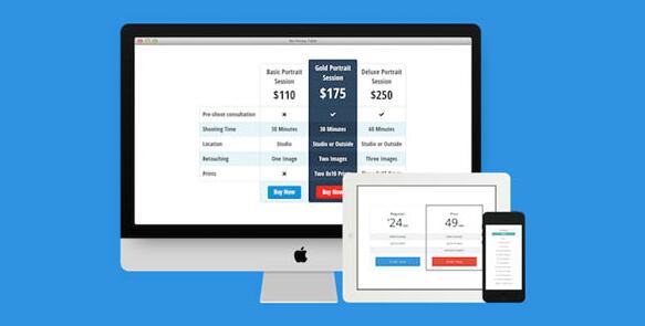 Easy Pricing Tables Premium v3.2.4 – WordPress定价表插件插图