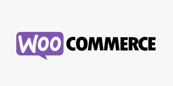 WooCommerce Xero v1.9.0（已汉化）插图
