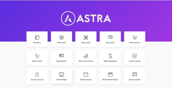 Astra Pro v4.6.4（已汉化）–使用Pro插件扩展Astra主题