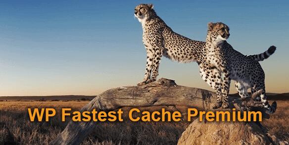 WP Fastest Cache Premium v1.7.2破解版（已汉化） – WordPress缓存插件
