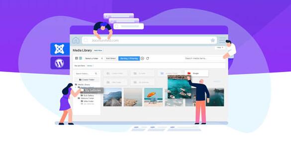WP Media Folder v5.3.11 破解版