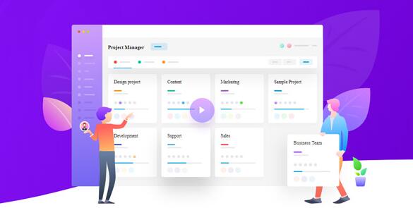 WP Project Manager Pro v2.5.8 – WordPress项目管理插件