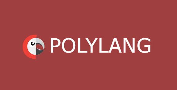 Polylang Pro v3.7.2（已汉化） – WordPress翻译插件插图