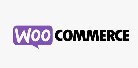 WooCommerce Newsletter Subscription v3.5.1 – WooCommerce 时事通讯订阅插件插图