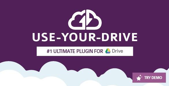Use-your-Drive v3.0.2已激活版 – WordPress Google网盘插件插图