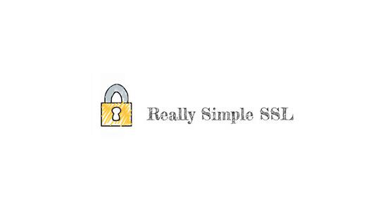 Really Simple SSL Pro v4.1.4 破解版插图