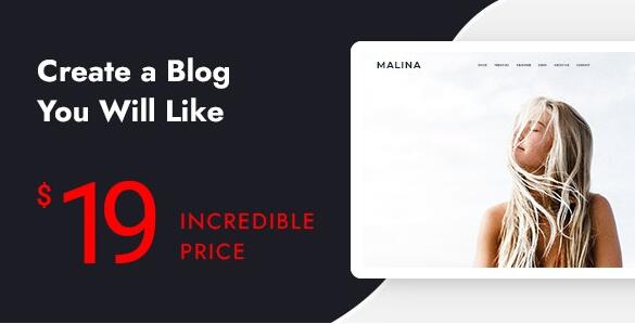 Malina v2.4.0 –个人WordPress博客主题插图