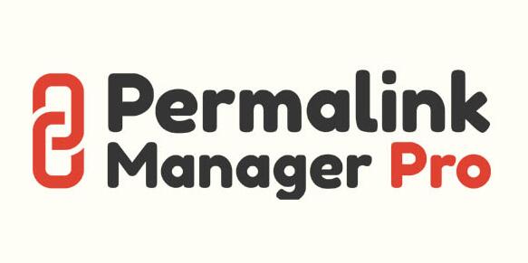 Permalink Manager Pro v2.5.1.1破解版（已汉化）– WordPress 永久链接插件插图