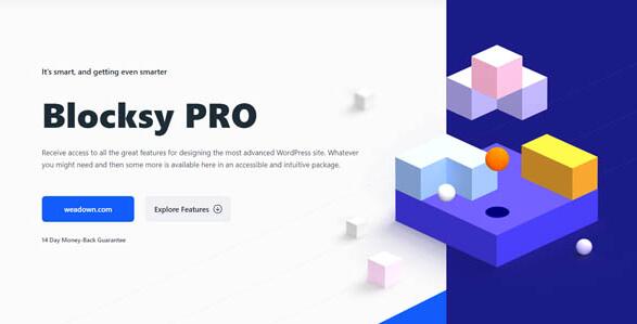 Blocksy Companion Premium v2.0.95破解版（已汉化）插图