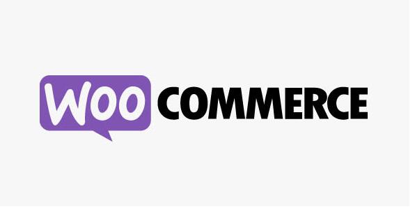 WooCommerce RedSys Gateway v25.3.5（已汉化）- WooCommerce Redsys支付网关插件插图