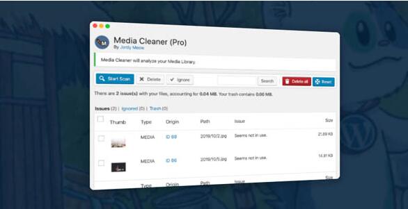 Media Cleaner Pro v6.8.7破解版（已汉化）– WordPress媒体库无用文件清理插件插图