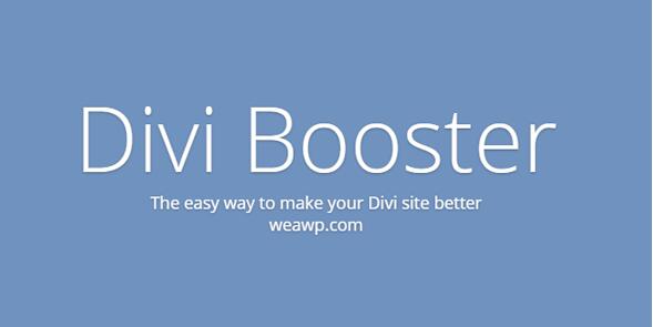 Divi Booster v4.3.9（已汉化） – WordPress Divi主题插件插图