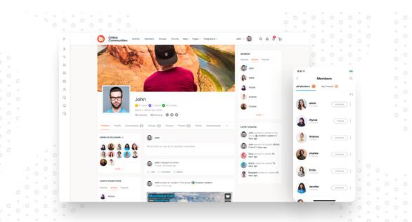 BuddyBoss Platform v2.8.10 + Pro v2.7.61 + Theme v2.7.80破解版（已汉化85%）插图