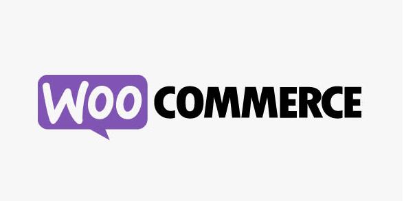 WooCommerce Instagram v4.6.1破解版（已汉化） – WooCommerce在Instagram展示产品插件插图