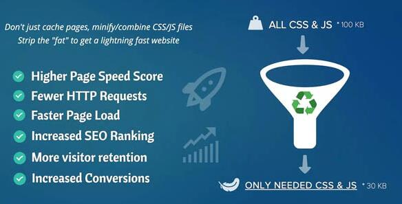 Asset CleanUp Pro v1.2.6.9无限制版(已汉化)-WordPress性能插件