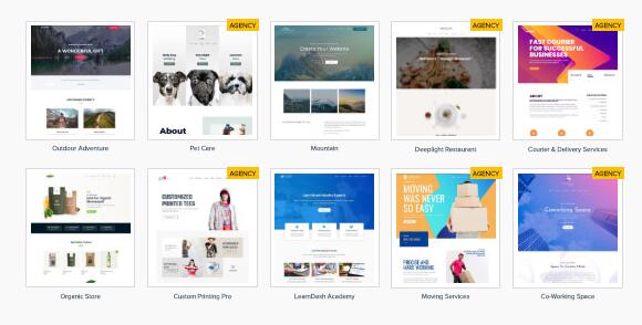 Astra Premium Sites v4.4.35无限制版(已汉化) – Astra在线模版库导入插件