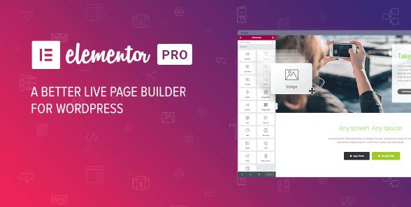 Elementor Pro v3.30.1 无限制版(已汉化)/ Elementor Free 3.24.2 (完整模板和组件)