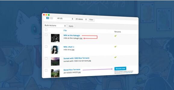 Media File Renamer Pro v6.1.3 无限制版(已汉化)