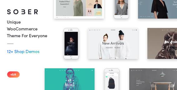 Sober v3.5.4 破解版（已汉化）- WordPress电子商务主题