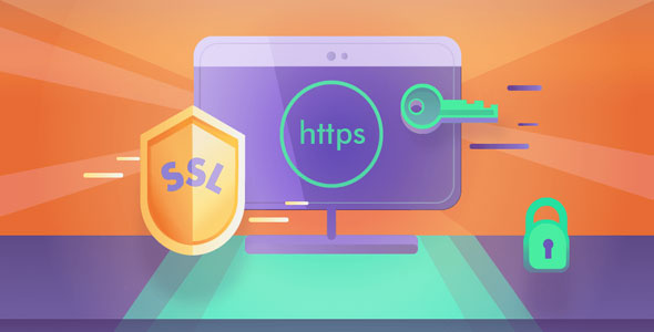 Really Simple SSL Pro v9.5.3（已汉化） – WordPress SSL插件高级版