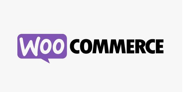 WooCommerce Splash Popup v1.5.0破解版插图